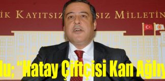 Dudu; “Hatay Çiftçisi Kan Ağlıyor”
