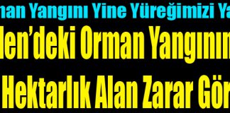 Belen’deki Orman Yangınında 20 Hektarlık Alan Zarar Gördü