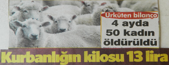 fotoğrafların dili6