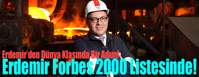 erdemir grubu6