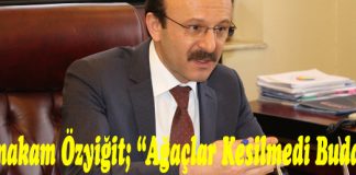 “Ağaçlar Kesilmedi Budandı”