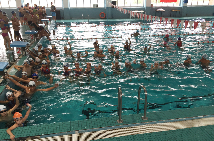 yüzme yarışları6