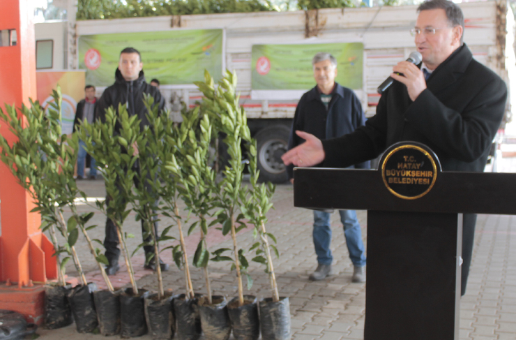 dörtyol fidan dağıtımı1