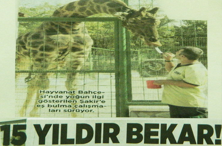 fotoğrafların dili3