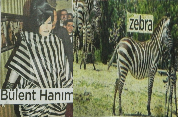 fotoğrafların dili8