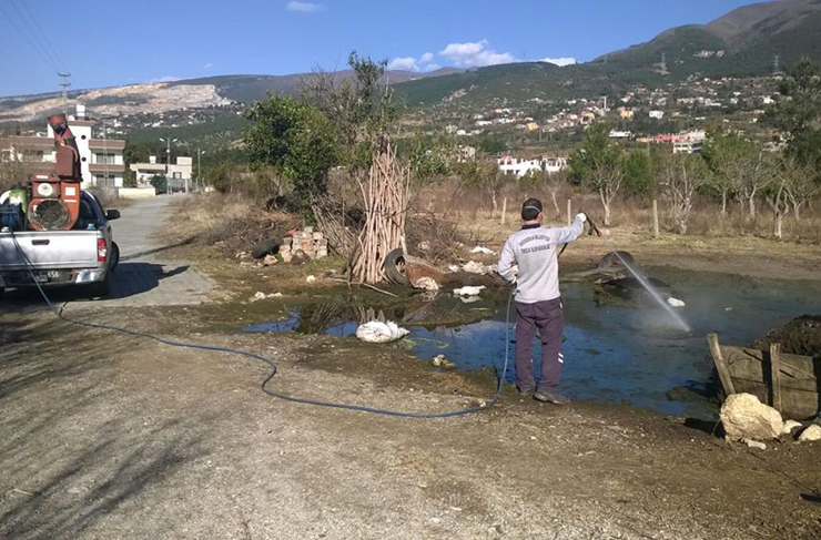 bld-larva mücadele1