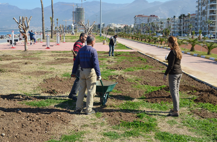 sahil yeşilleniyor1