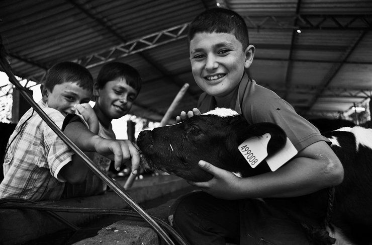 arsuz fotoğraf yarışması2