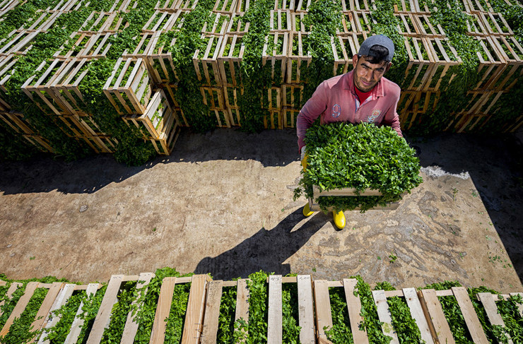 arsuz fotoğraf yarışması1