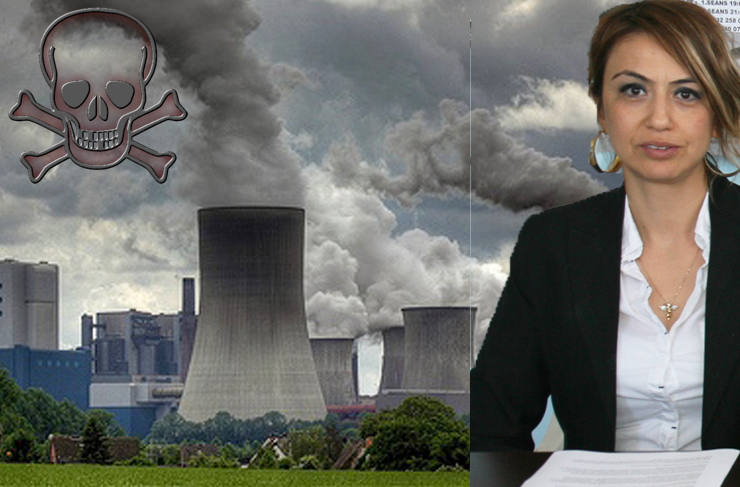 arsuz termik santral5