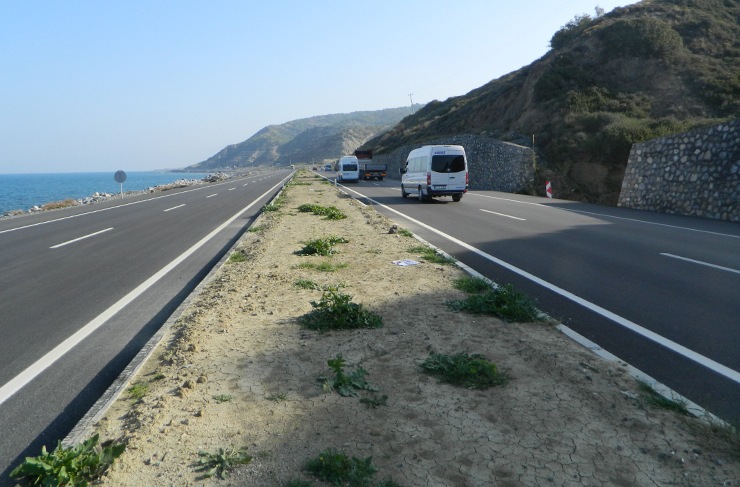 arsuz yolu ağaçlandırma1