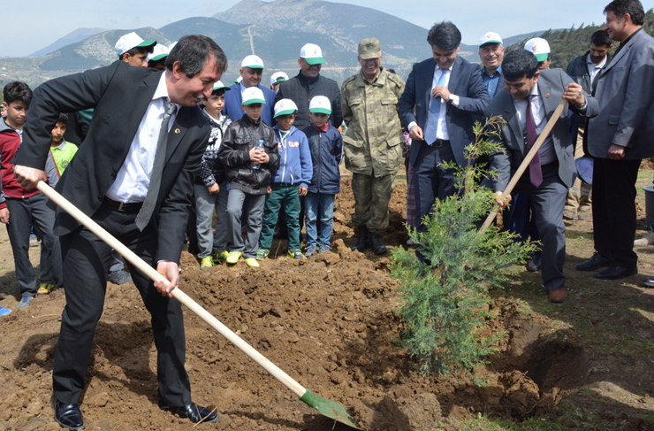 belen ağaç dikimi1