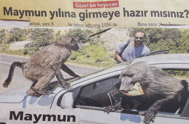 fotoğrafların dili4