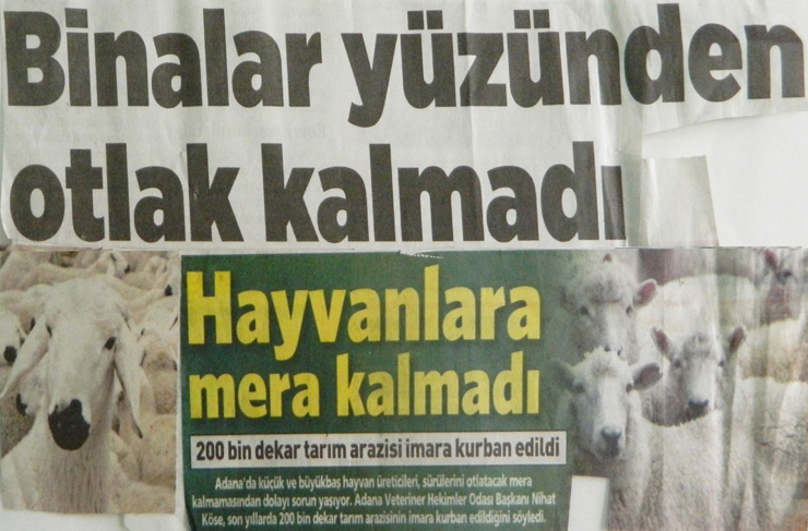 fotoğrafların dili6