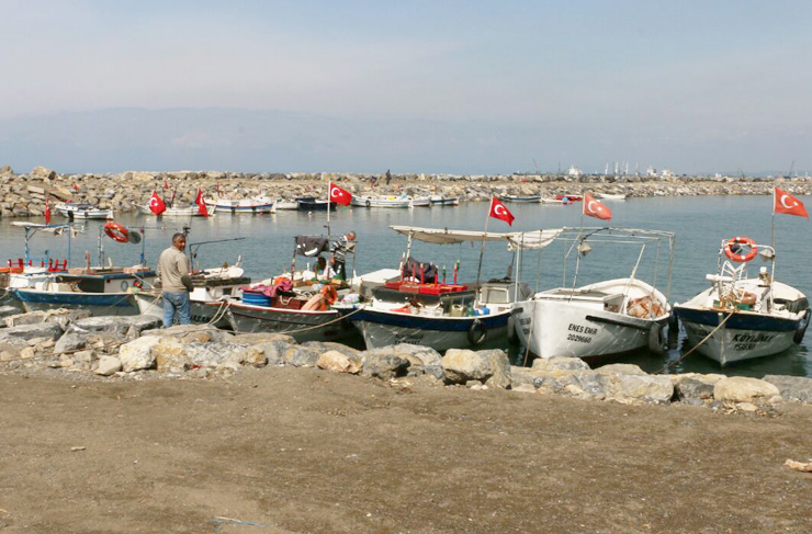 payas balıkçı barınağı3