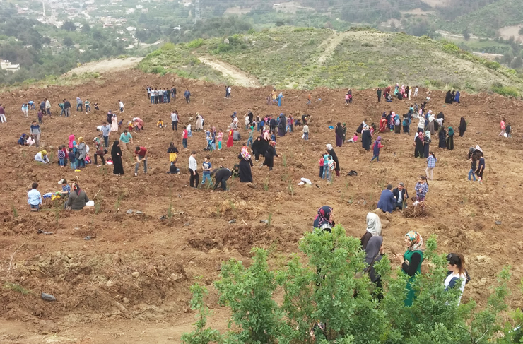 erbakan hatıra ormanı2