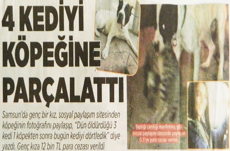 fotoğrafların dili1