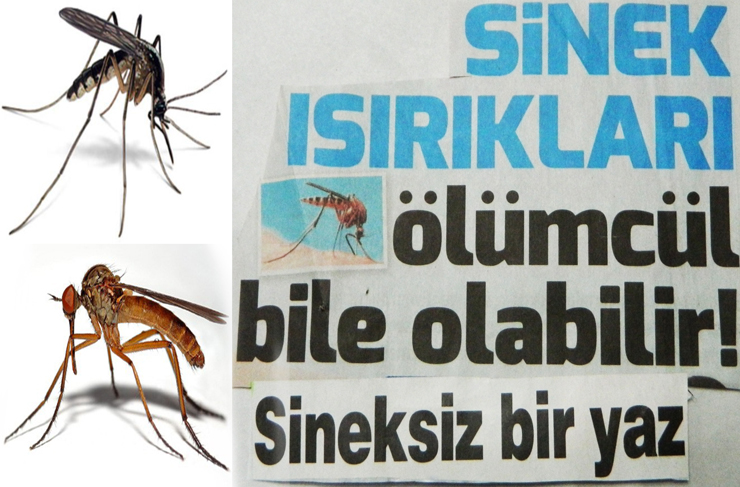 fotoğrafların dili8