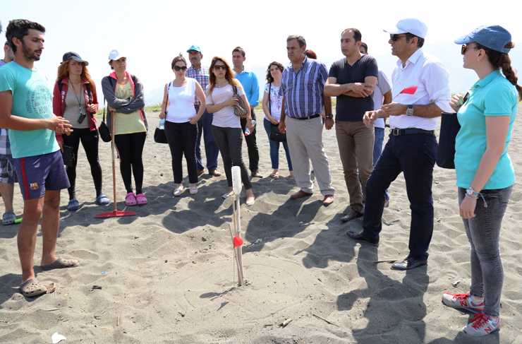 deniz kaplumbağası2