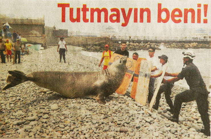 fotoğrafların dili3