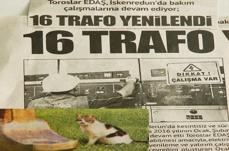 fotoğrafların dili5