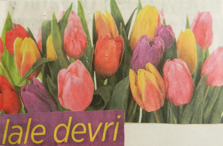 fotoğrafların dili6