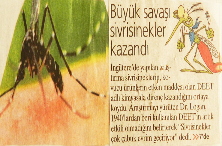 fotoğrafların dili9