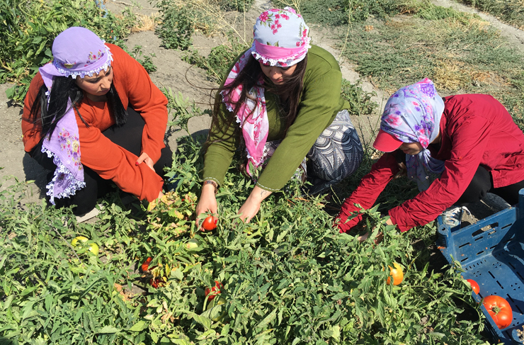 chp-akran eğitimi1