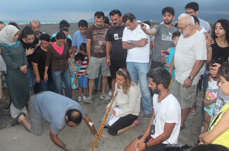 deniz kaplumbağası3