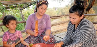 Nar Ekşisi Sezonu Başladı