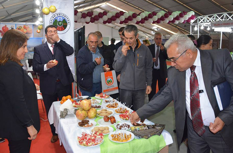 belen-hatay-gunleri2