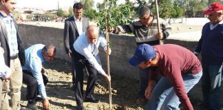 Gözcüler İlkokulu ve Ortaokulu’nun Çevresine Fidan Dikildi
