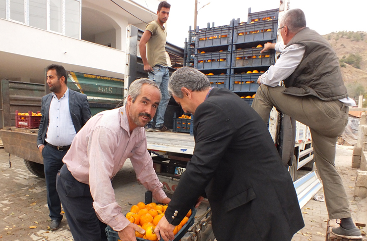 belen-hurma-uretimi1