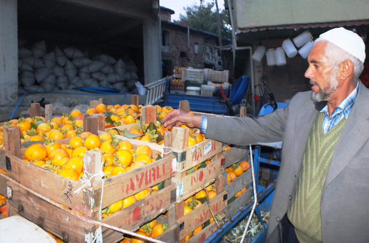 belen-hurma-uretimi2