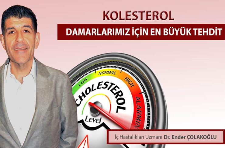 gelisim-kolesterol1