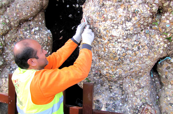 tarihe-sahip-cikiyor2