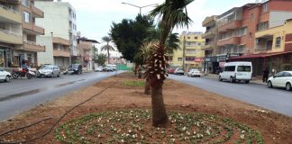 Arsuz’da Peyzaj Çalışmaları