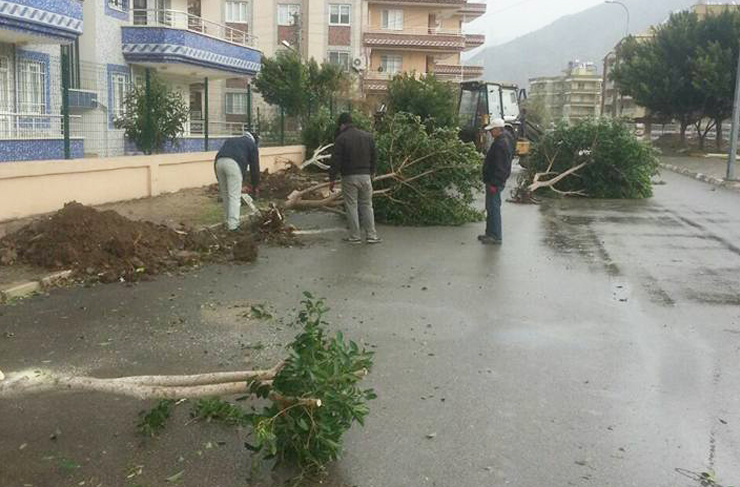 bld-firtina-temizligi2