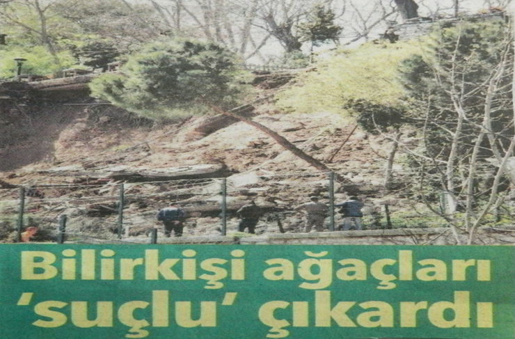 fotoğrafların dili7