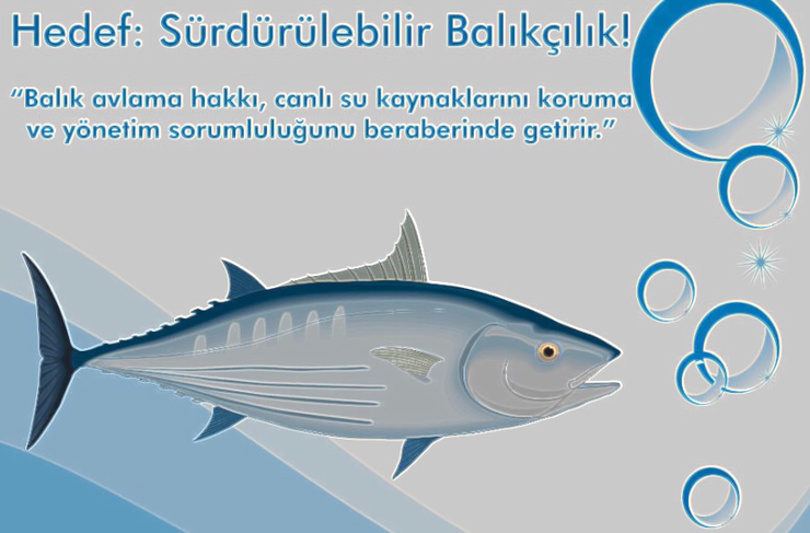 iste-doktora programı1