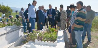 Madenli’deki Mezarlıklar da Tahrip Edildi