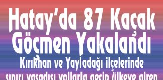 Hatay’da 87 Kaçak Göçmen Yakalandı