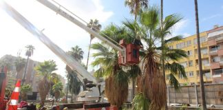 Karayolları İçerisinde Budama ve Temizlik Çalışması Yapılıyor