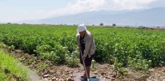 Kahramanmaraş’tan Amik Ovasına Can Suyu