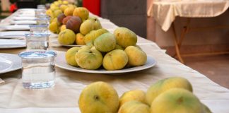 Belen’de İncir Üreticileri Yarışıyor