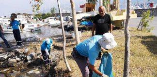 İskenderun Balıkçı Barınağı Pislikten Kurtuluyor!