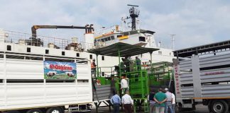 Şahin; “Herkes Elinden Geleni Yaptı Ama Olmadı”