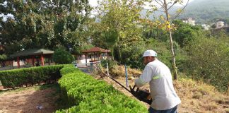 Ağaçlarda Sonbahar Budaması Sürüyor