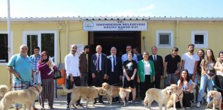 Başkan Tosyalı; “Hayvanları Korumak Herkesin Görevidir”