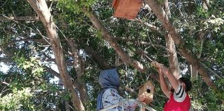 Millet Parkında Ağaçlara Kuş Yuvası Yerleştirildi
